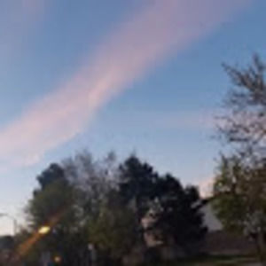 Meet your Posher, Brandy